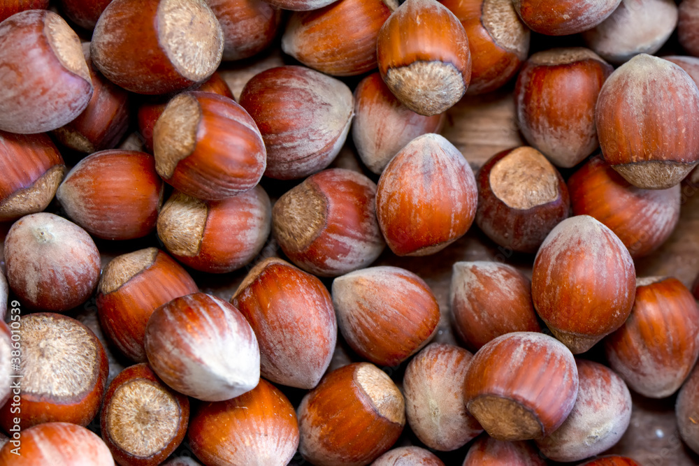 Macro shots, Beautiful HAZELNUT – Stock Image Macro shots, Beautiful HAZELNUT – Stock Image