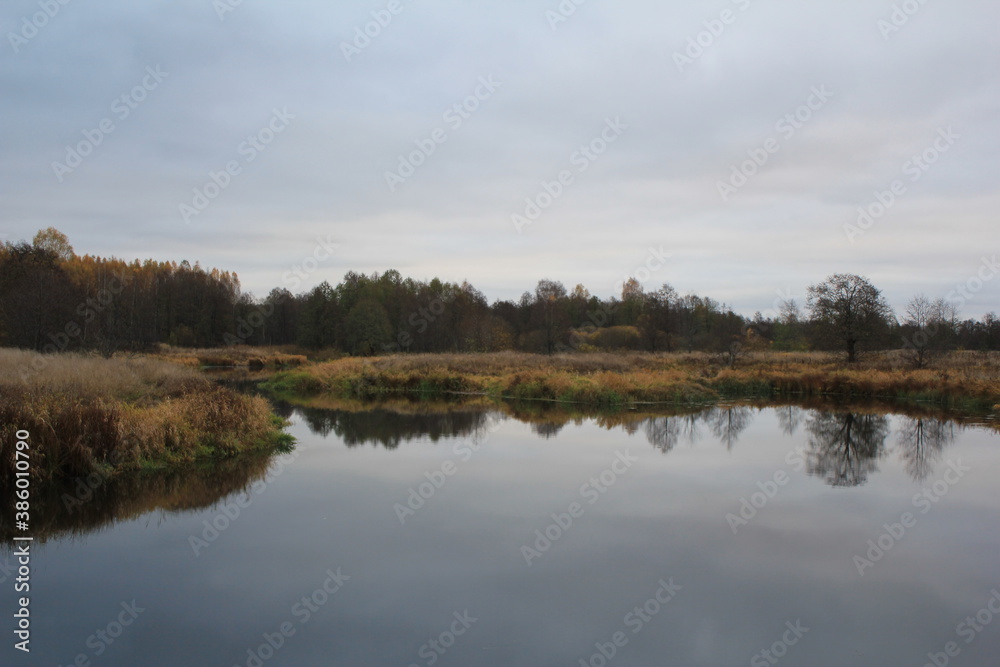 reflection of trees in the water