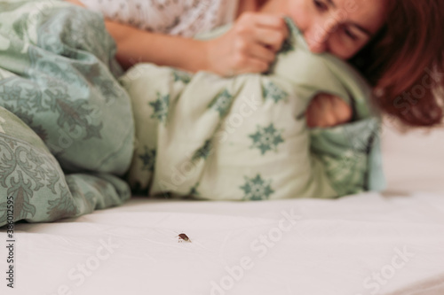 Foto Woman in bedroom terrified by brown stink bug walking on her bed