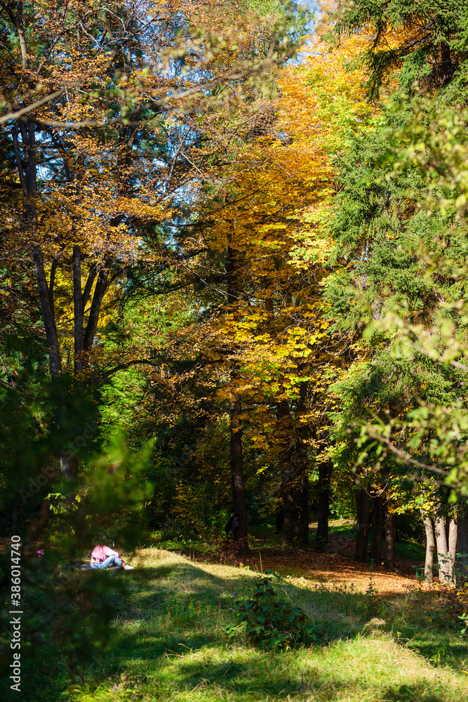 Beautiful autumn landscape in Vanadzor's botanical garden Beautiful autumn landscape in Vanadzor's botanical garden