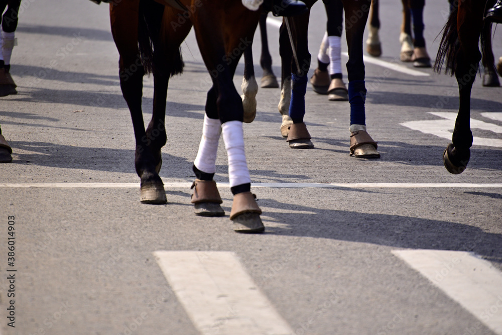 Group of horses running on road in a race