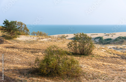 Sand dune with vegetation, sea in the distance.