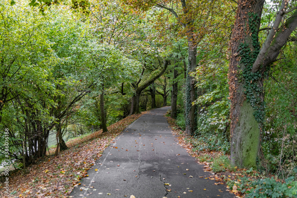 Uferpromenade am Neckar im Herbst