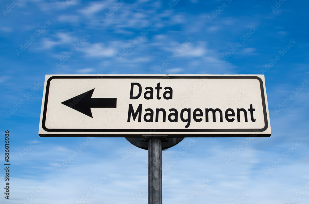 Data Management road sign, arrow on blue sky background. One way blank road sign with copy space. Arrow on a pole pointing in one direction. Data Management road sign, arrow on blue sky background. One way blank road sign with copy space. Arrow on a pole pointing in one direction.