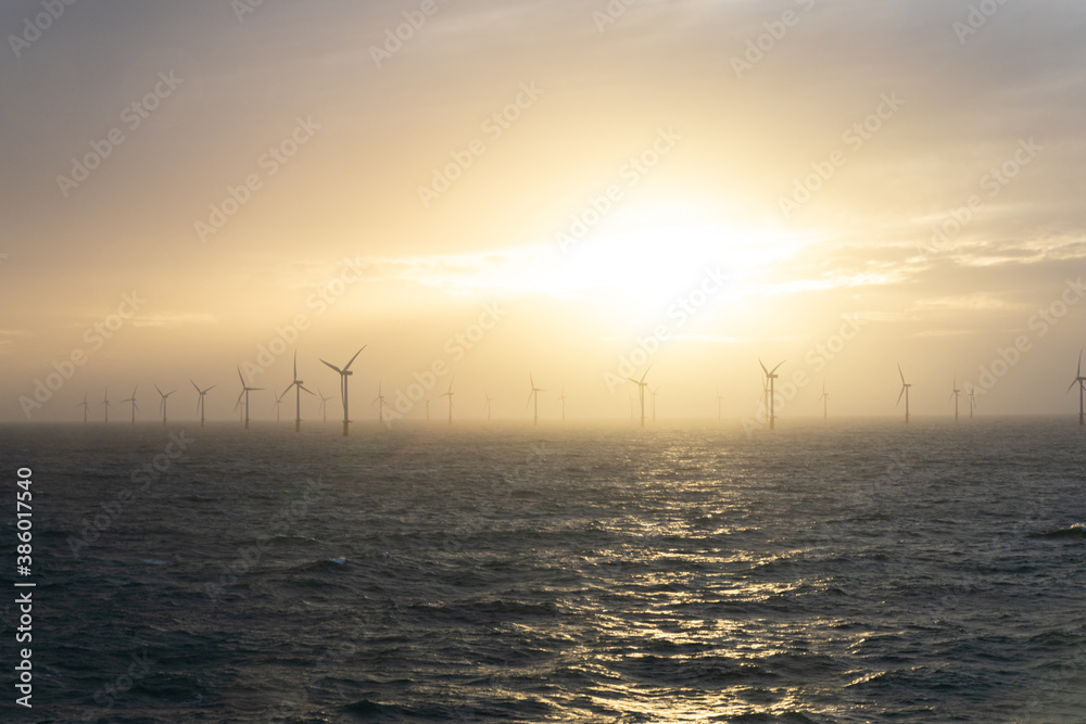 Wind farm in the ocean