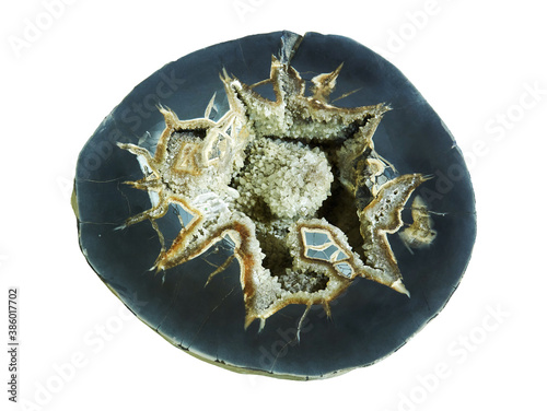 septarian concretion with geode filled with barite crystals isolated on white background photo