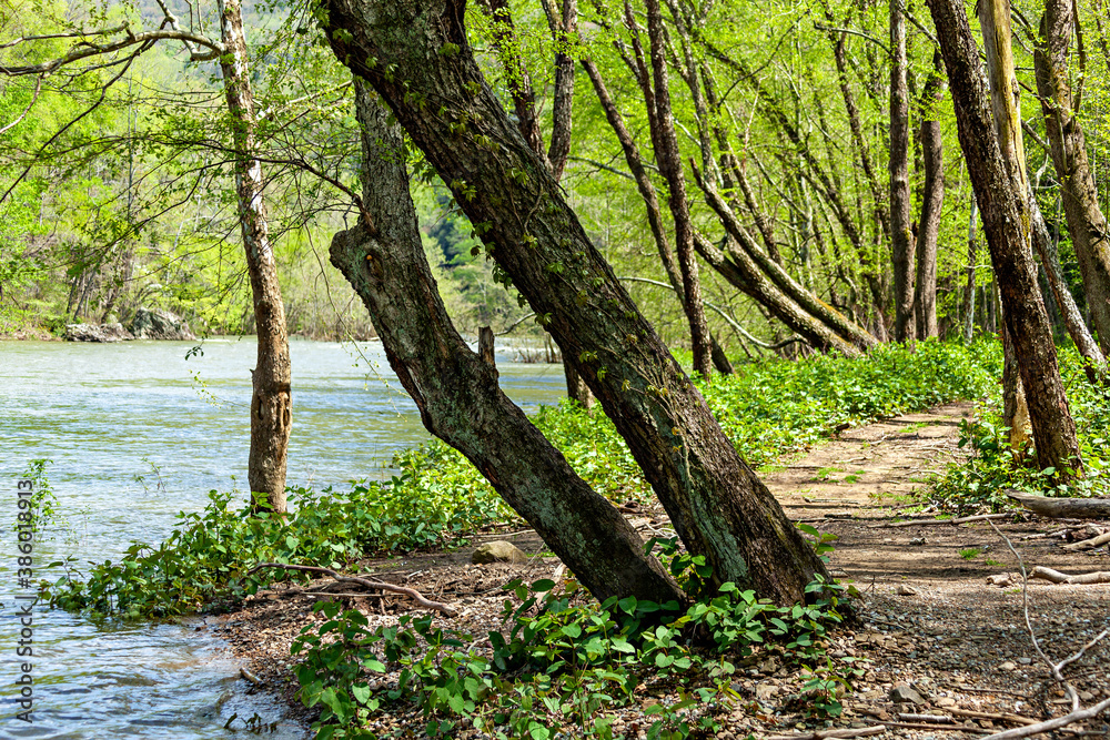 Riverside Trail