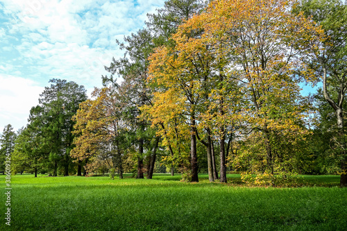 Majestic particolored forest with sunny beams. Natural park. Dramatic unusual scene. Red and yellow autumn leaves. Beauty world.