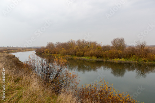 autumn rural natural landscape with calm river water reflecting yellow trees and dry grass in cloudy day