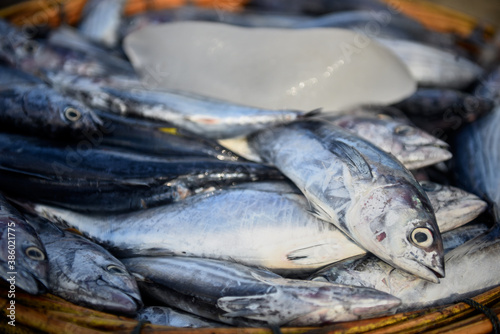 Fresh tuna sale at traditional seafood market 