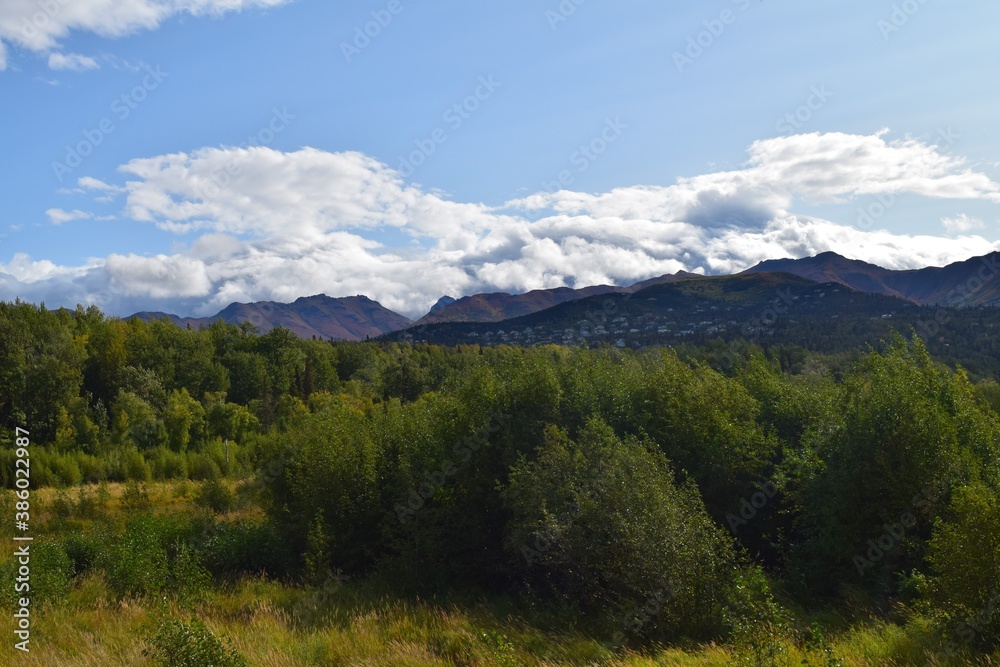 landscape in the summer landscape in the summer