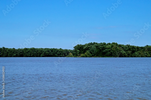 Río Danubio en su delta, ramal de Saint George. Vegetación en la orilla del río vista desde una embarcación cerca de Tulcea, Rumanía. photo