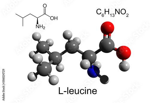 Chemical formula, structural formula and 3D ball-and-stick model of L-leucine, an essential amino acid, white background photo