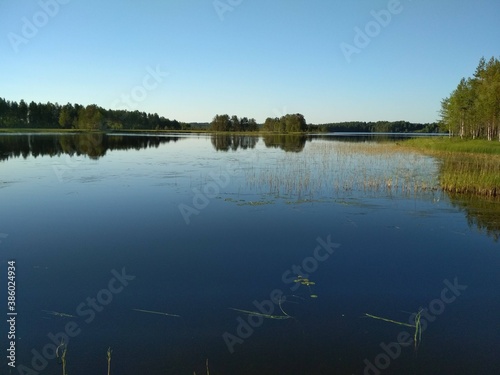 lake in the forest