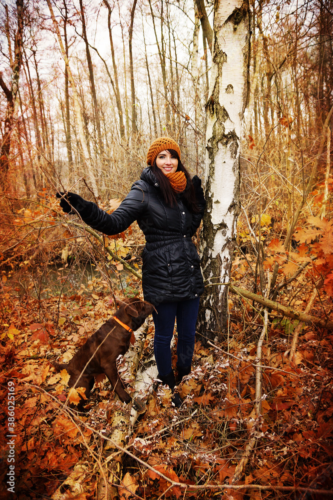 Naklejka premium Frau geht mit Hund im Wald spazieren