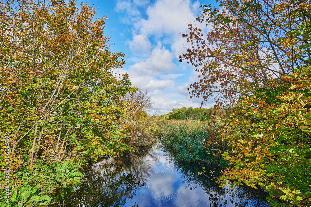 Sunny autumn mood at a small creek in the surrounding countryside of Berlin, Germany.