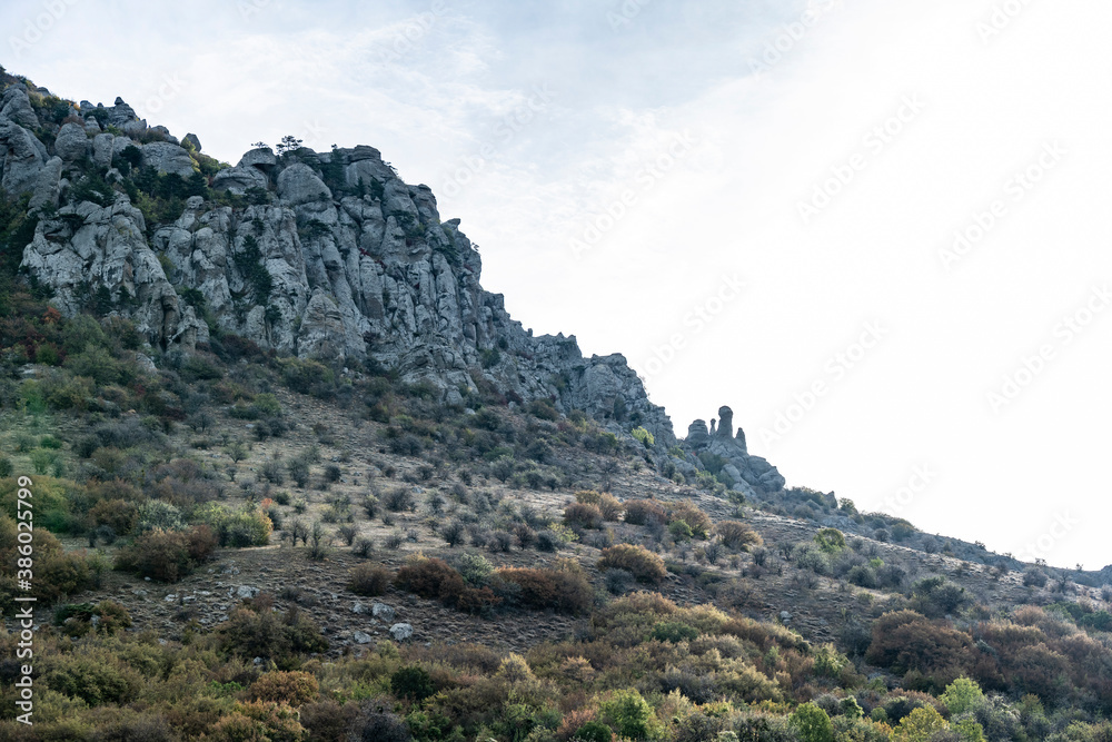 panoramic view of the mountains and the valley against the backdrop of green pine trees and autumn sky panoramic view of the mountains and the valley against the backdrop of green pine trees and autumn sky
