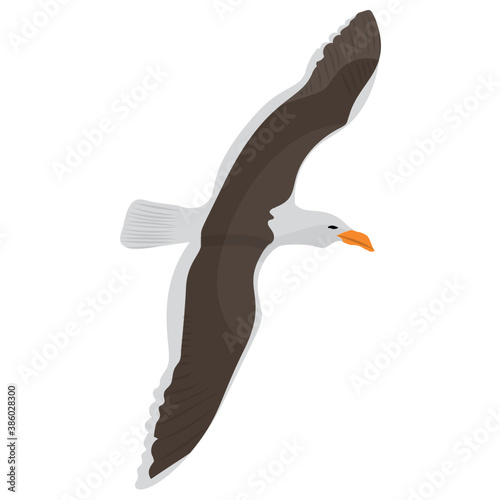 
A flying bird with white and yellow feathers depicting sea eagle 
