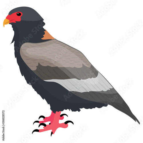 
A high fly bird with red beak depicting an icon for falcon 
