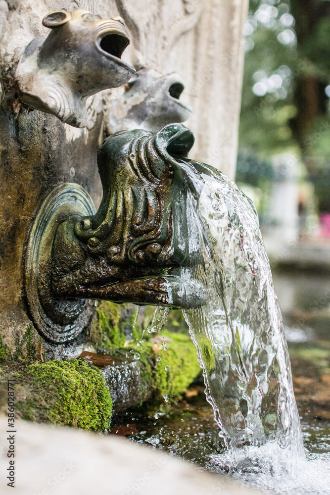 Close up Fountain with a Lion Head