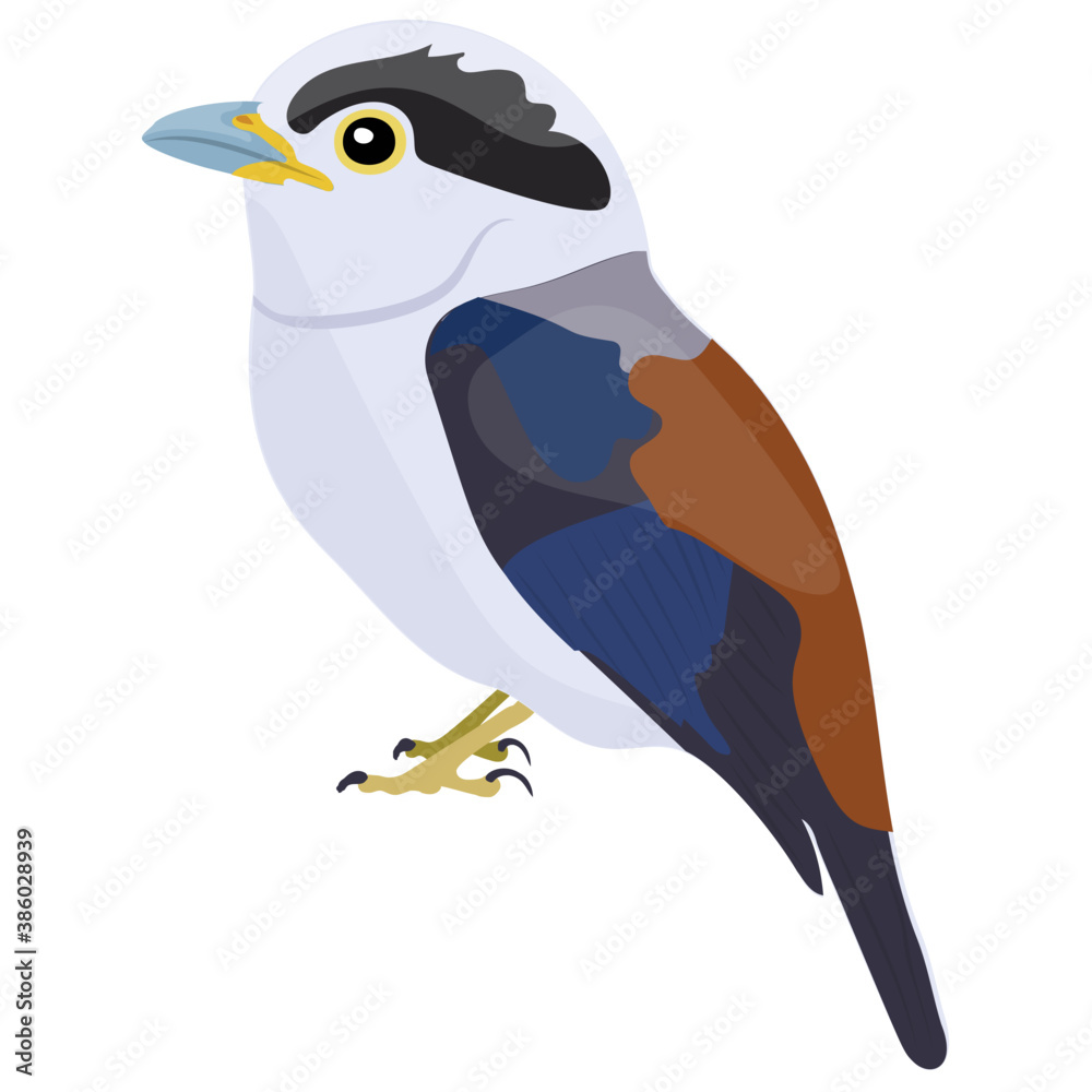 Fototapeta premium Colorful bird with feathers and beak