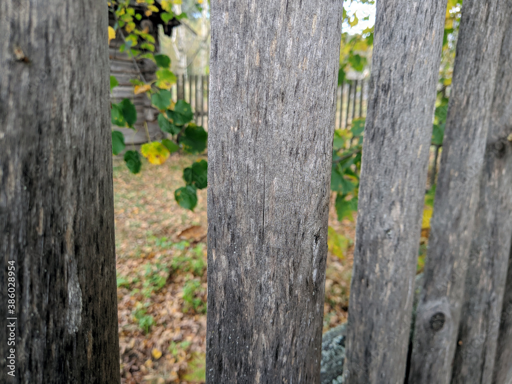 Fototapeta premium fence