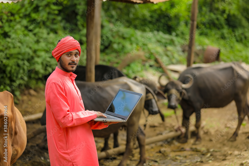 Indian farmer using laptop at dairy farm