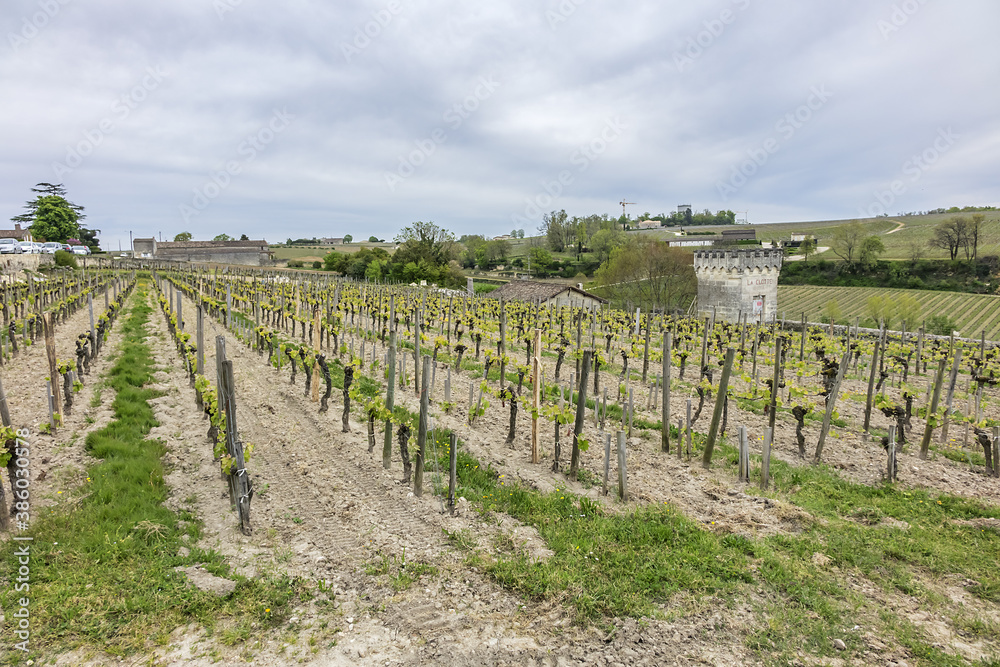 Famous Vineyard of Saint-Emilion. This vineyard make up the first vineyards in the world to award the title of 'Cultural Landscape' by UNESCO. Saint-Emilion, Gironde, Aquitaine, France, Europe.