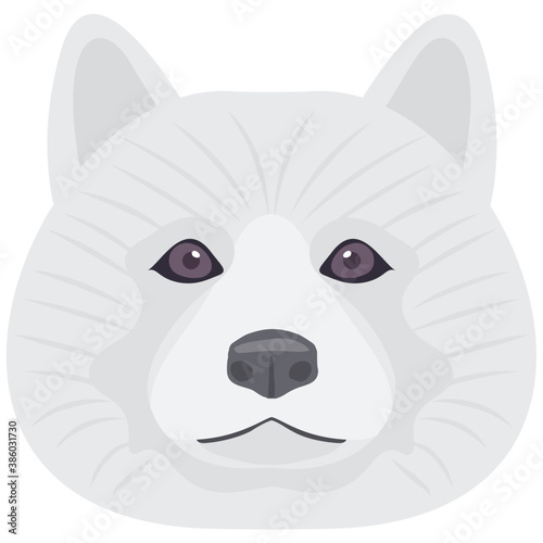 
A cute white puppy with small eyes and erect ears denoting siberian husky
