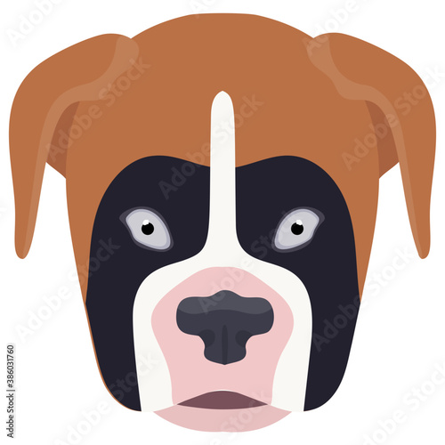 
A wild dog with down ears and horrifying face in black color, boxer 
