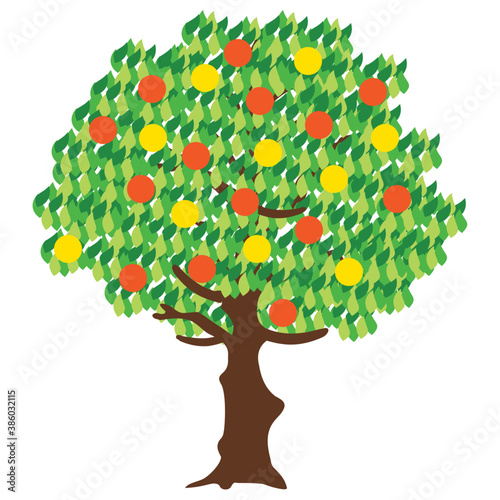 
A fresh fruit tree, apple tree 

