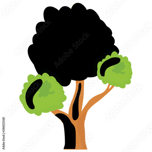 
A tree with small circular leaf and branches structure is bonsai pine
