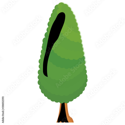 
Fluffy young branch fir tree, coniferous tree 
