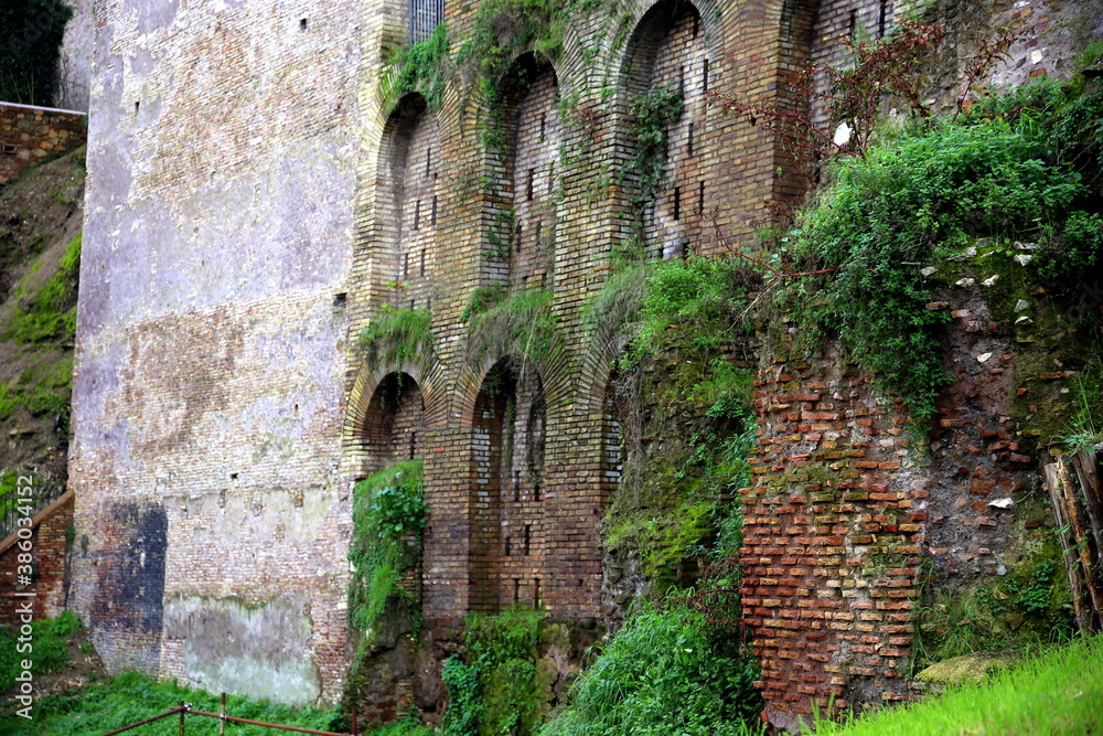 Glimpse with Roman walls and vegetation
