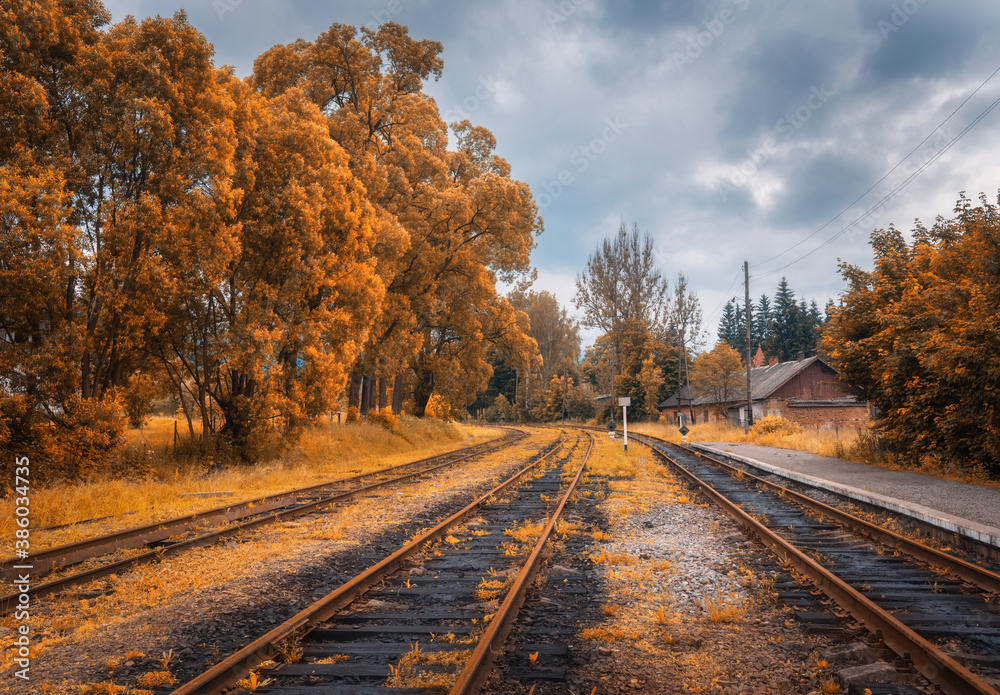 Fototapeta premium Rural railway station in autumn in cloudy day. Industrial landscape with old railway platform, orange trees, buildings, overcast sky. Railroad and beautiful forest in countryside. Railway in fall