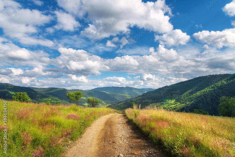 Mountain dirt road at sunny bright day in summer. Colorful landscape with road, green grass, purple flowers, mountains with forest, blue sky with clouds at sunset. Trail on the hill. Travel and nature