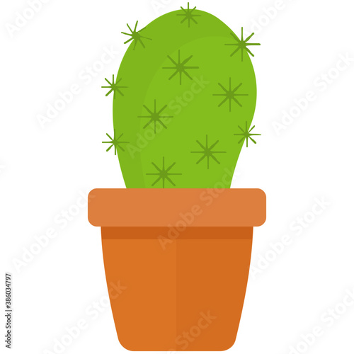
A pot having flat shape leaves, indoor prickly pear 
