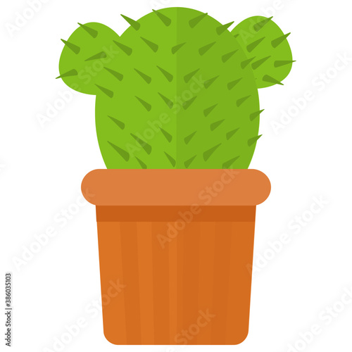 
A pot having flat shape leaves, indoor prickly pear 
