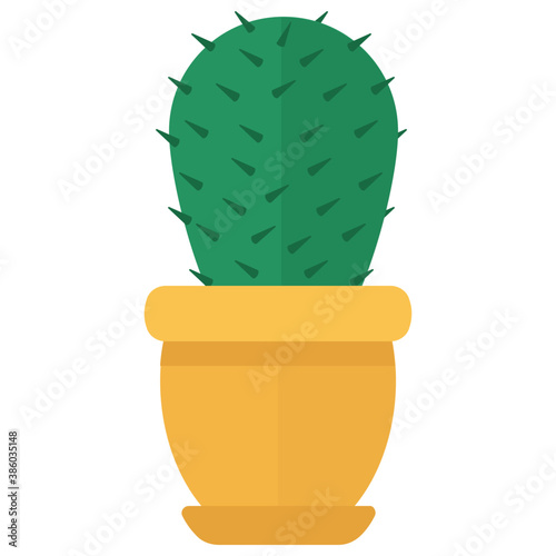 
A pot having flat shape leaves, indoor prickly pear 
