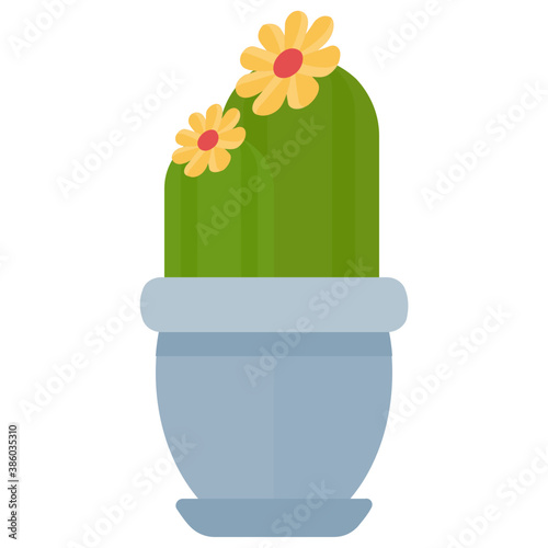 
A cactus having flowers on it, cereus repandus 
