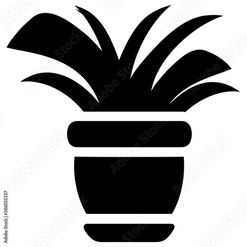 
A pot having plant with tree like leaves, devil's ivy plant 
