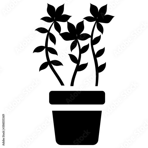 
A pot having plant with tree like leaves, devil's ivy plant 
