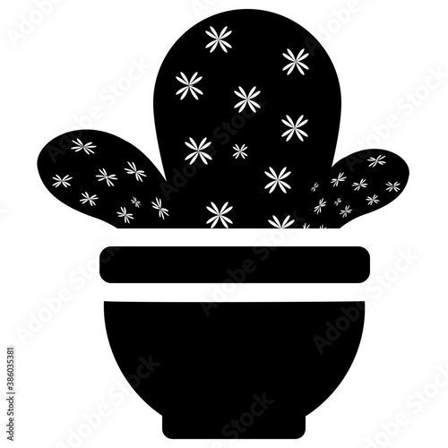 
A pot having flat shape leaves, indoor prickly pear 
