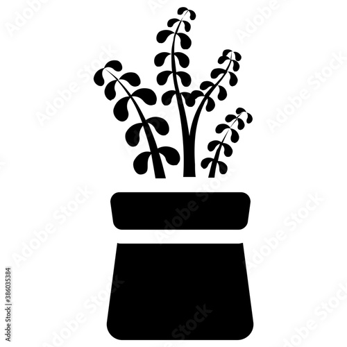 
A pot having plant with tree like leaves, devil's ivy plant 
