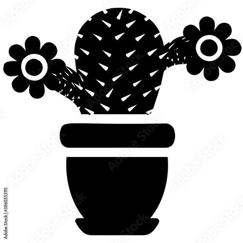 
A pot having flat shape leaves, indoor prickly pear 

