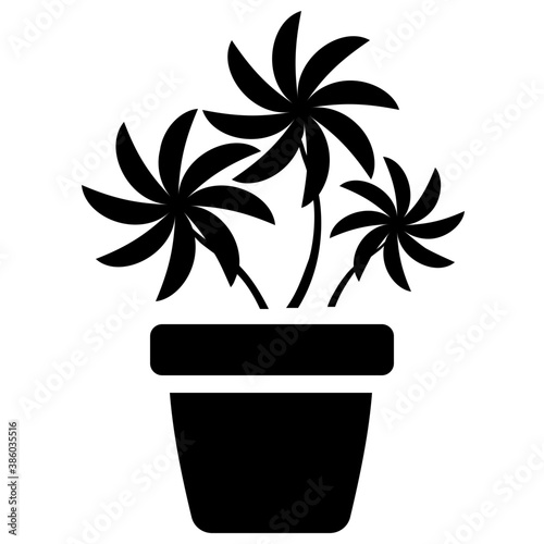 
A pot having plant with tree like leaves, devil's ivy plant 
