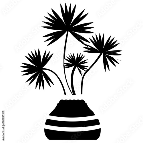 
A pot having plant with tree like leaves, devil's ivy plant 
