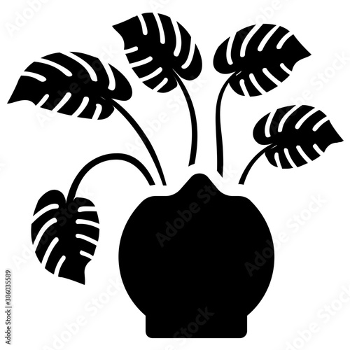 
A pot having plant with tree like leaves, devil's ivy plant 
