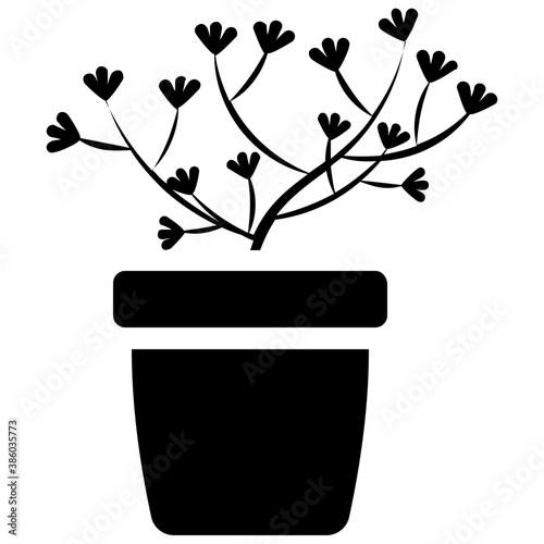 
A pot having plant with tree like leaves, devil's ivy plant 
