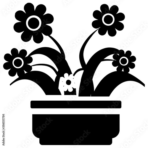 
A pot having plant with tree like leaves, devil's ivy plant 
